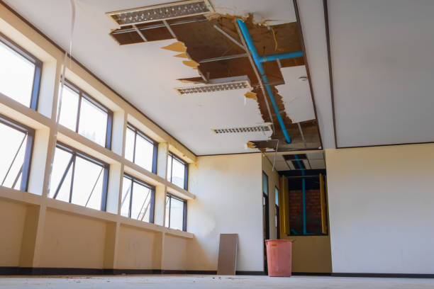 Best Water damage restoration mold remediation  in Norris, TN