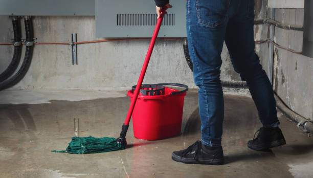 Best Water damage contractors near me  in Norris, TN