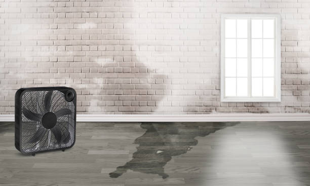 Best 24/7 water damage repair  in Norris, TN