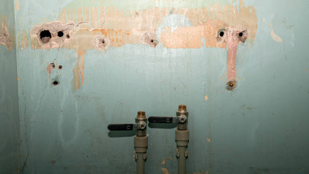 Best Commercial water damage restoration  in Norris, TN