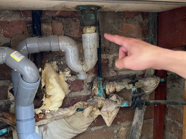 Best Residential water damage restoration  in Norris, TN