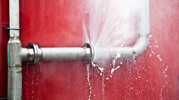 Best Sewage cleanup and water damage restoration  in Norris, TN
