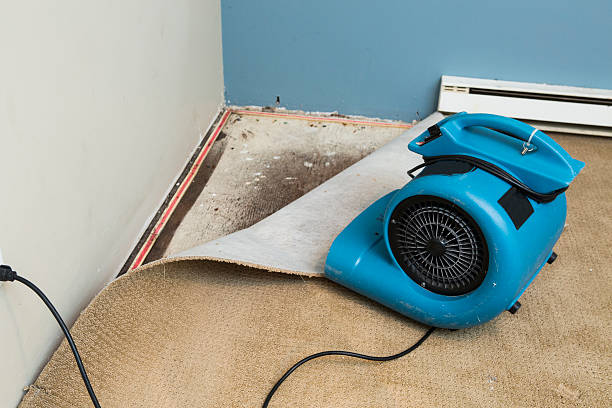 Best Water damage restoration near me  in Norris, TN